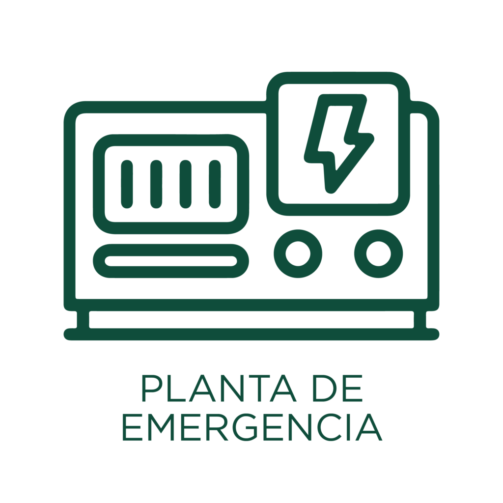 Planta